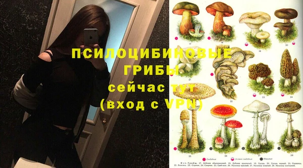скорость Осинники