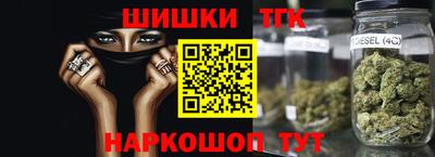 кокс Гатчина