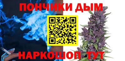 кокс Гатчина