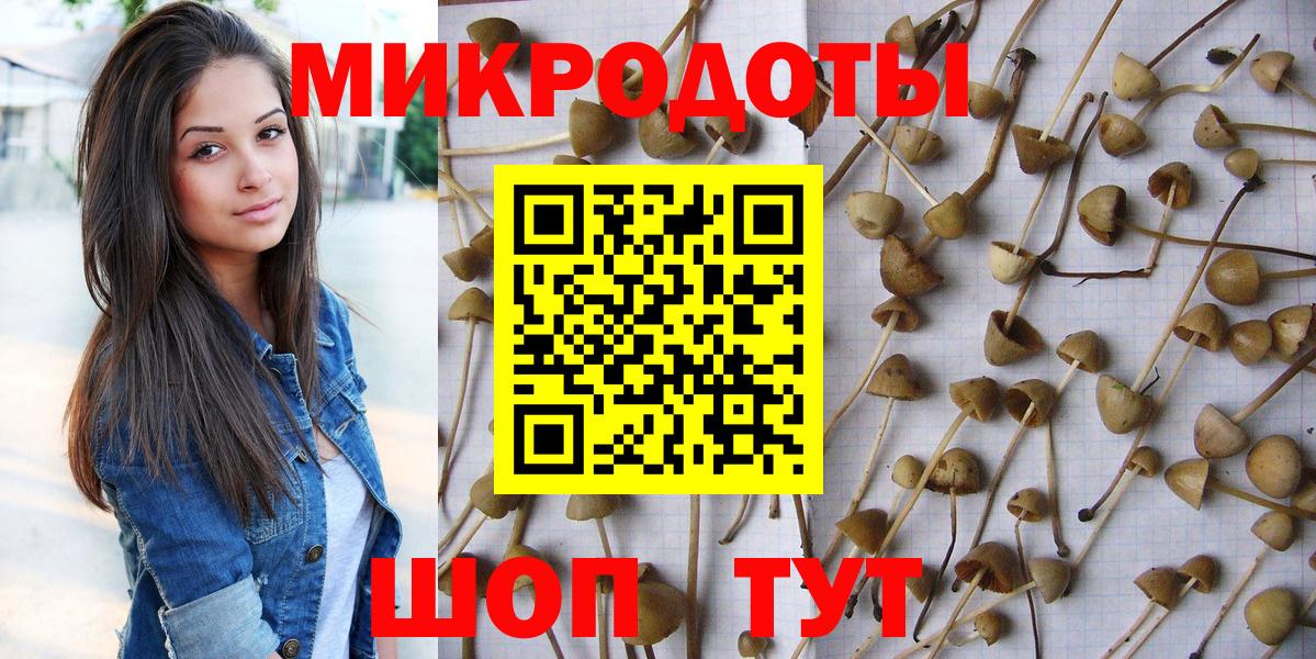 Анапа  Псилоцибиновые грибы Psilocybine cubensis  Вход с VPN 