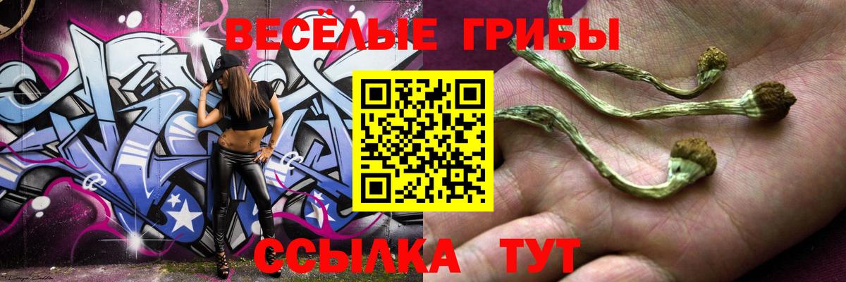 Псилоцибиновые грибы мухоморы  Анапа 